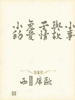 小兔子与小狐狸的爱情故事封面