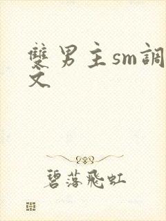 双男主sm调教文封面