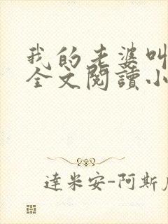 我的老婆叫武艳全文阅读小说封面