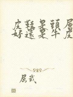 皮鞋是头层牛皮好还是牛皮革好封面