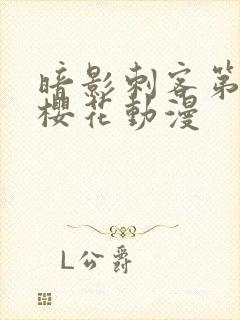 暗影刺客第五季樱花动漫