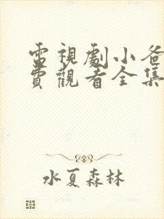 电视剧小爸爸免费观看全集高清