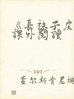 《长袜子皮皮》课外阅读