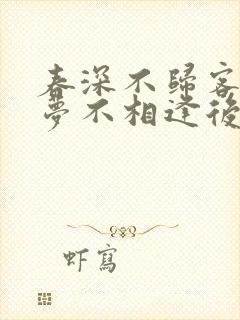 春深不归客,清梦不相逢后续