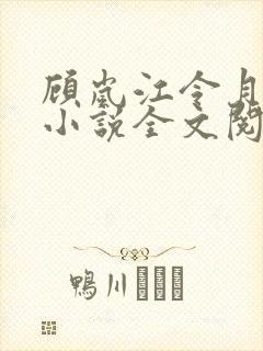 顾岚江令月陆舒小说全文阅读