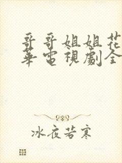 哥哥姐姐花样年华电视剧全集40集封面