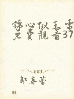 锦心似玉电视剧免费观看37集