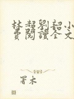 林超刘韶小说免费阅读全文最新章节