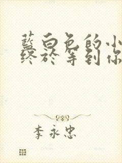 蓝白色的小说《终于等到你》txt