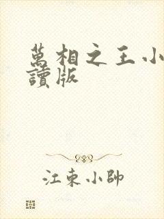 万相之王小说阅读版