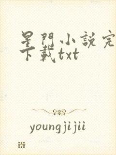 星门小说完整版下载txt