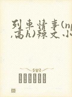 列车情事(np,高h)辣文小