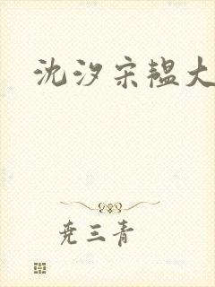 沈汐宋韫大结局