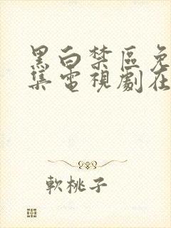 黑白禁区免费全集电视剧在线观看封面