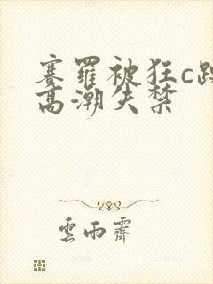 赛罗被狂c躁到高潮失禁