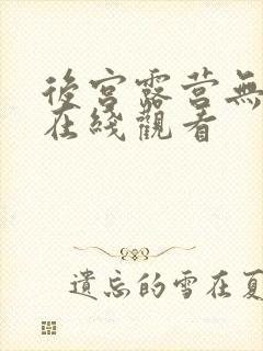 后宫露营无删减在线观看