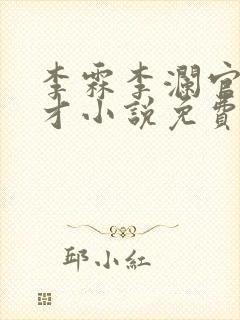 李霖李澜官场奇才小说免费阅读