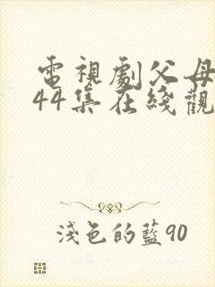 电视剧父母爱情44集在线观看