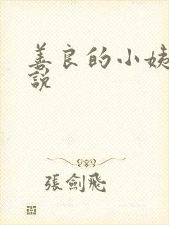 善良的小姨子小说