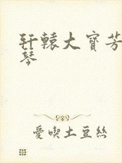 轩辕大宝芳菲雅琴