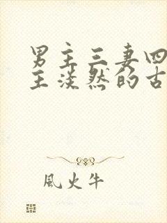 男主三妻四妾女主淡然的古言