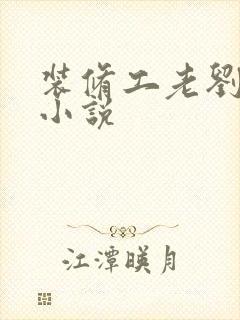 装修工老刘林雪小说