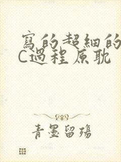 写的超细的多肉C过程原耽