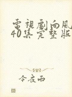 电视剧向风而行40集完整版在线观看