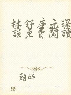 林舒唐亦琛的小说免费阅读