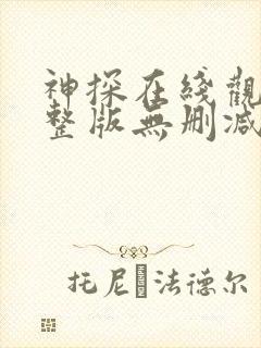 神探在线观看完整版无删减