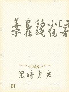 善良的小[子中字在线观看