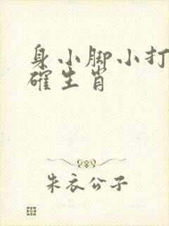 身小脚小打一准确生肖