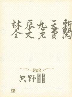 林辰九天斩神诀全文免费阅读笔趣阁