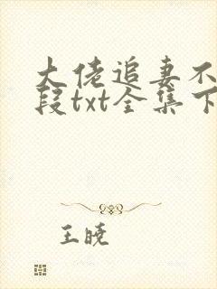 大佬追妻不择手段txt全集下载 完整版封面