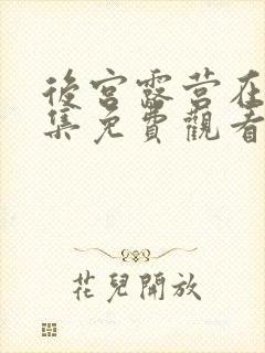 后宫露营在线全集免费观看