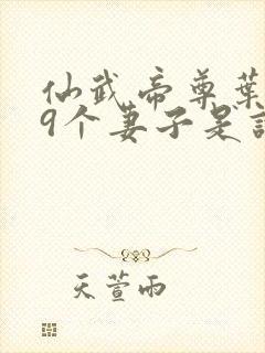 仙武帝尊叶辰19个妻子是谁