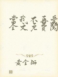 当我不再爱你时全文免费阅读封面