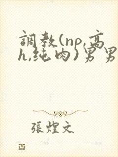 调教(np,高h,纯肉)男男封面