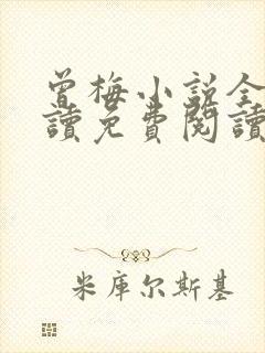 曾梅小说全文阅读免费阅读最新章节