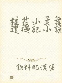 校花小柔舞蹈室遭遇记小说