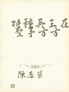 特种兵王在山村 圣手方方