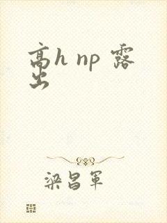 高h np 露出