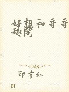 好想和哥哥做笔趣阁封面