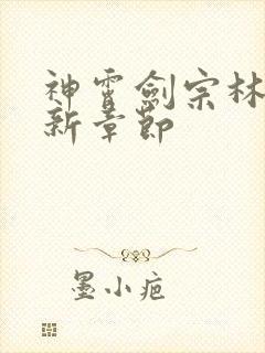 神霄剑宗林枫最新章节