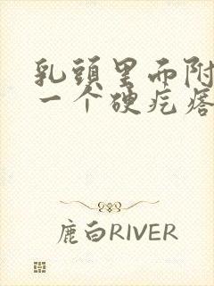乳头里面附近有一个硬疙瘩不疼不痒
