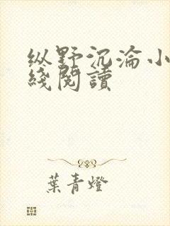 纵野沉沦小说在线阅读