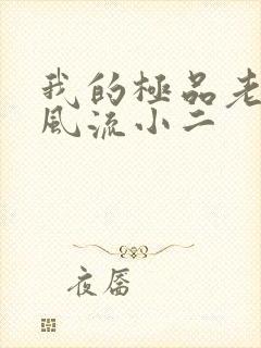 我的极品老婆们风流小二