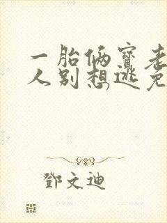 一胎俩宝老婆大人别想逃免费