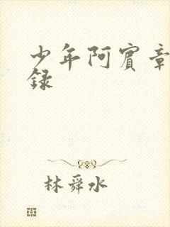 少年阿宾章节目录