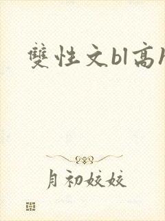 双性文bl高h封面
